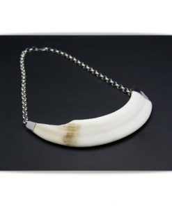 Collar de plata con colmillo