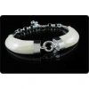 Pulsera de colmillos naturales